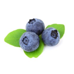 Basic 60ml Blueberry - New active ingredient