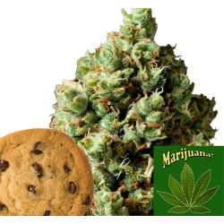Mad Hatter 10ml Cookie Kush - Cannabis Flavour